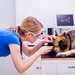 Charlie's Clinic Vet - Clinica Veterinara